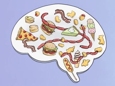 an outline of the human brain as seen from the side, filled with images of high-fat foods